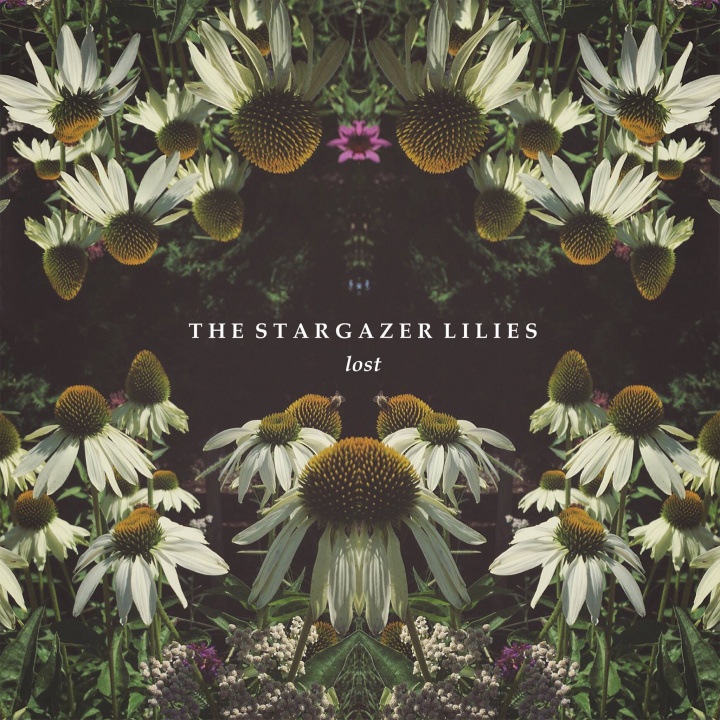 The Stargazer Lillies